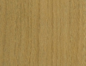 MCX20 Azuolas